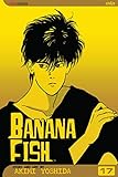 Banana Fish, Vol. 17 by