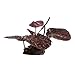 Fluval Lotus Plant, 2.5 by 5 by 5-Inch, Red
