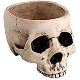 Skeleton Skull Medium Kitchen Bowl Figurine