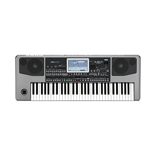 Korg PA900 61-Key Semi-Weighted Professional Arranger 