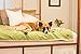 West Paw Design Big Sky Faux Suede/Silky Soft Pet Throw Blanket, Storm Blue, Medium