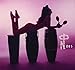 Technicolor Paradise: Rhum Rhapsodies & Other Exotic Delights (Various Artists)