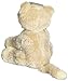 Baby Oh So Soft GUND Kitty Tan Plush Animal with Rattle, Ages 0+, 7
