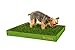 DoggieLawn Real Grass Puppy Pee Pads- 24 x 20 Inches - Perfect Indoor Litter Box for Dogs - No Mess, Easy-to-Use - Potty Training for Pets - Eco-Friendly Disposable Bathroom with Real Living Grass