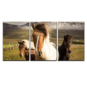 3 Piece Canvas Wall Art - Horses in The Field - Modern Home Art Stretched and Framed Ready to Hang - 16"x24"x3 Panels