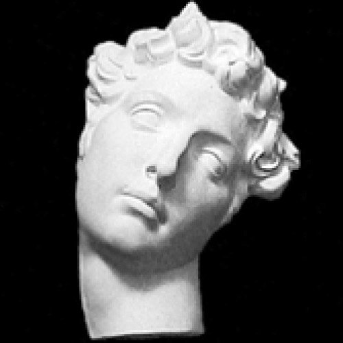 ジュリアーノ メヂチ半面 人体石膏像 参考資料 観賞資料 石膏像 の買取価格 相場 高価買取なら買取一括比較のウリドキ