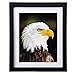 Solid Wood Picture Frames 8x10 - Hang on Wall Stand Hook Accessory Fashion Wooden Frame Stand Pictures Photos Landscape Family Portrait 8x10 Picture Frame without Mat/ 6x8 Frame with Mat 1 pack Black