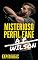 Livro Misterioso Perfil Fake [Conto Erótico] (Rapidinhas Livro 7)