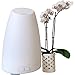 Aromatherapy Diffuser for Essential Oils by Leven Rose Humidifier for Stress Relief + Sleep Improvement - 100ML