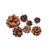Yiphates 10PCS Christmas Tree Hanging Balls Pine Cones , Pine cone Xmas New Year Holiday Party Decoration