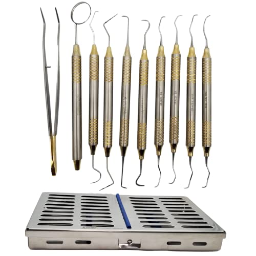Dental Hygienists Instruments Tool kit 10 PC's with Sterilization ...