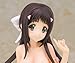 Skytube Nakaimo: Konoe Tsuruma PVC Figure (Swimsuit Version) (1:7 Scale)