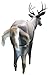 Primos Waggin' Whitetail Deer Decoy