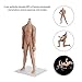 Phicen Level 1/6 Scale Super-Flexible Seamless Muscular Bodybuilding Male Body Doll with Stainless Steel Skeleton, No Head Emulational Ordinary Complexion Action Figure Body
