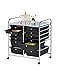 Finnhomy 12-Drawer Plastic Portable Mobile Organizer, Multi-Purpose Utility Double Rolling Storage Cart, Bright Chrome Metal Frame and Smoke Drawer Studio Trolley
