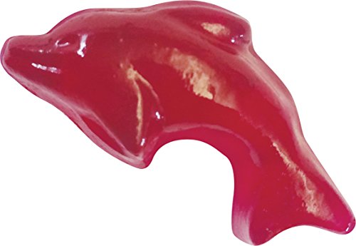 Thames & Kosmos Gummy Candy Lab Science Kit