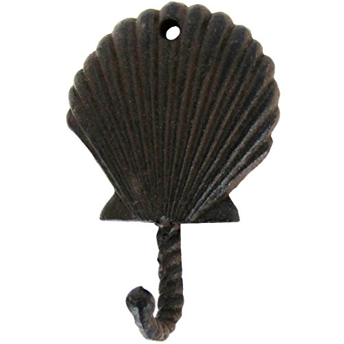 Tg Treasure Gurus Scallop Sea Shell Wall Hook