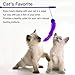 Whoobee Cat Toys Kitten Toys Assortments, Variety Pack for Catnip Toy, Cat Tunnel, Bell Crinkle Balls, Feather Wand, Cat Teaser Toy and Spring, Cat Toys Set for Cat, Puppy, Kitty, Kitten (24PCS)
