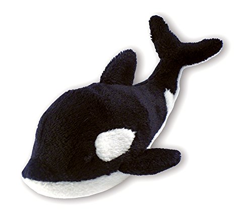 Puzzled Killer Whale Plush Magnet