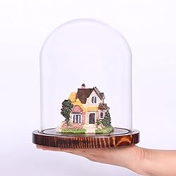 Moonlear Glass Cloche Bell Jar Display Dome with