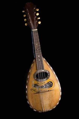 The Mandolin Journal: 150 page lined notebook/diary