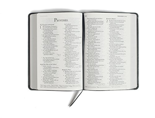 HCSB Large Print Personal Size Bible, Charcoal LeatherTouch