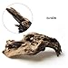 Eaarliyam Landscape Wood Decoration Driftwood Tree Aquarium Fish Tank Plant Stump Ornament Landscap Decor Aquarium Decoration Wood Natural Trunk Random Style 1Pcsthumb 2