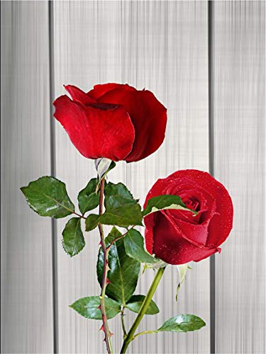 Canvas Rose Wall Art for Living Room Flower Decor Painting Multicolor Floral Pictures Print Artwork (12x16inch x 4pcs)