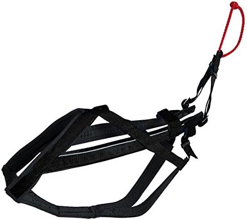 Neewa 8033087538458 – Racing Harness Black XL