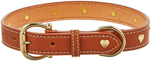 ゴールデン ダルメシアンなど中 大型犬に 車 バイク サイズ50 104 激安超特価 B000f9o7gy ハートメタル首輪 ペット用品 100 品質保証 サイズ50 サイズ Birdie M 正規品送料無料 キャメル バーディ 新作製品 世界最高品質人気