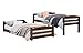 DHP Phoenix Twin Bunk Bed, Mocha