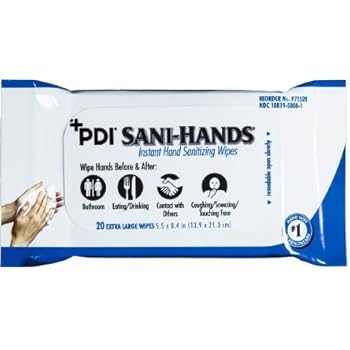 Amazon.com : Sani-Hands Hand Sanitizer Wipes 100 Packets