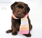 Rachael Hale Dogs Wall Calendar (2015)