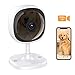 Security Camera, Lensoul 1080P HD Wireless IP Camera Built in Two-Way Audio, Motion Detection, 2.4GHz Security Surveillance CCTV Camera Night Vision-Cloud Service Available