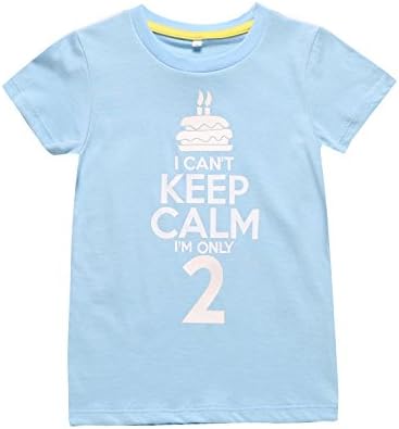 Color Changeable Little Boys' Funny 2nd Birthday Gift Cake T-Shirt (2T, Light Blue)