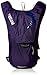 CamelBak Women's 2016 Charm Hydration Pack, Parachute Purple/Blue Depths