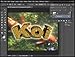 Adobe Photoshop CC Tutorial plus Adobe Illustrator CC Training all on 5 DVDs