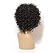 Nadula New Fashion Women's Full Short Curly Wavy Hair Wig Glamour Wig+ Nadula Wig Cap (Curly Black)