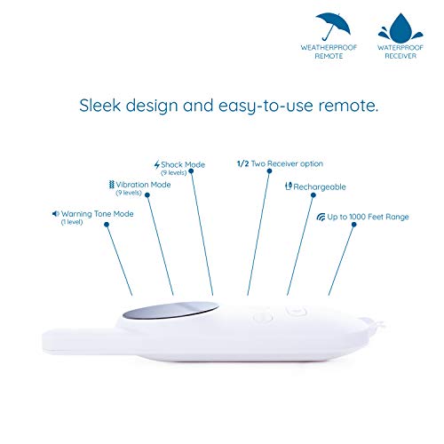 goodboy small size remote collar