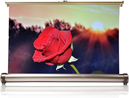 Salange Indoor &amp; Outdoor Portable Mini Projector Pull-out Cinema Movie Table Screen with 20 inch 16:9 for Traveling/Home/Portable Business/Education