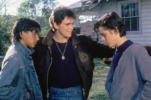 ART.COM Wall Photo THE OUTSIDERS, 1982 directed by FRANCIS FORD COPPOLA Ralph M…