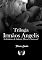 Livro Trilogia Irmãos Angelis: Três histórias em um único volume.