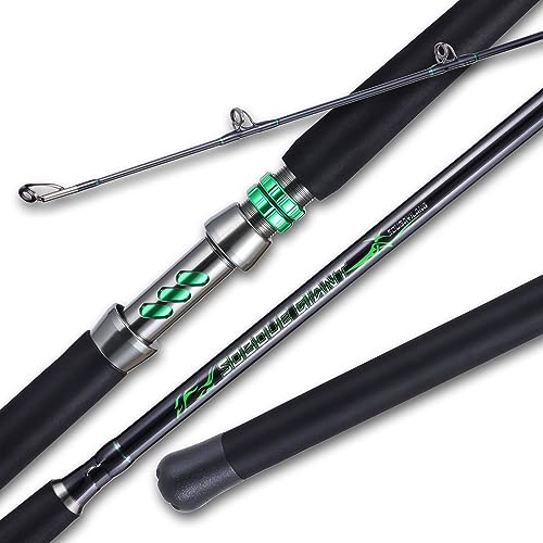Sougayilang Spinning & Casting Catfish Rod
