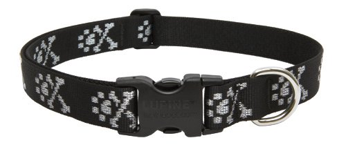 LupinePet Originals 1" Bling Bonz 16-28" Adjustable Collar for Large Dogs