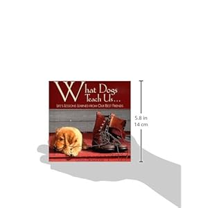 What Dogs Teach Us: Life's Lessons Learned from Our Best Friends