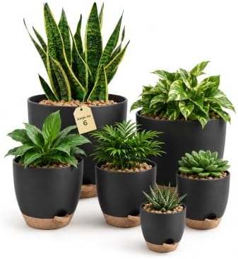 Macetas Autorriego de Interior, Tiesto de Plástico con Base Integrada, Pack de 6 (20/18/17/15/14/13 cm), para Cocina, Balcón, Jardín y Vivero Interior macetas Negro