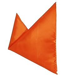 Dan Smith Orange Ascot Tie For Men Cravat