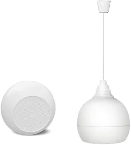 Amazon Com Keiid Hifi Ceiling Hanging Ball Pendant Speaker