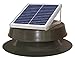 Natural Light Solar Attic Fan 12-watt Bronze