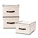 STORAGE MANIAC Polyester Canvas Storage Box, Foldable Storage Bins with Lid Shelf Baskets for Closet(Large)